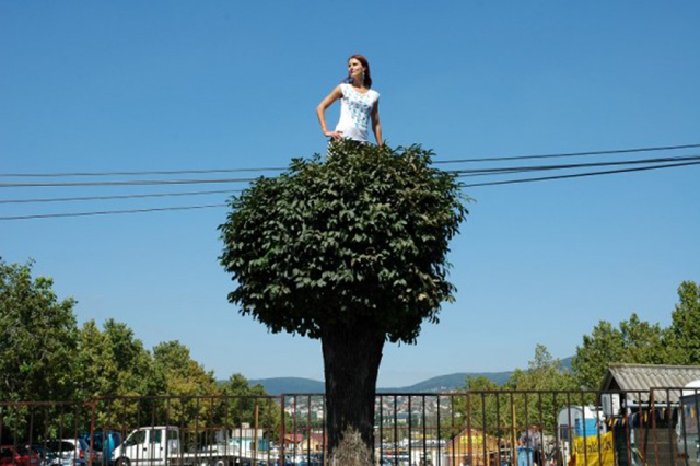 Cecylia Malik, "365 drzew", fot. materiały prasowe